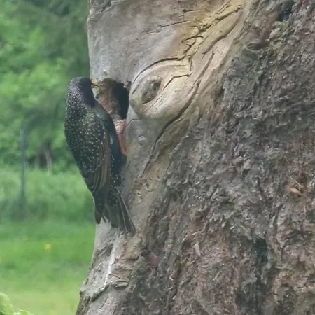 Dom Nad Jeziorem * Wolin