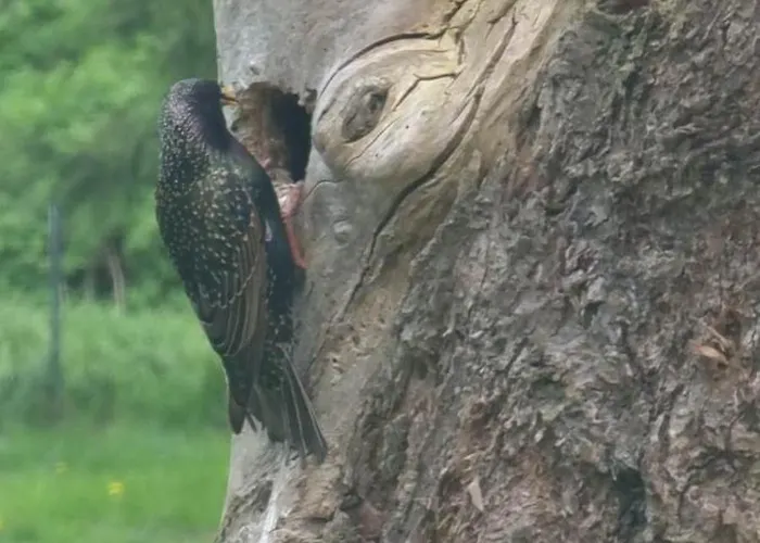 Dom Nad Jeziorem * Wolin